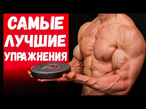 Самые лучшие упражнения на каждую группу мышц | Джефф Кавальер