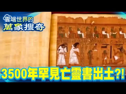 The True Dharma Master Reveals the Mystery of the Four Toes: The Electroplating Enigma!