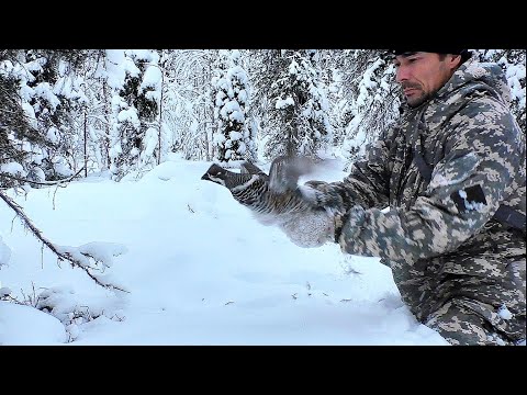 ПОЙМАЛ РУКАМИ ЧТОБЫ ПАТРОН НЕ ТРАТИТЬ / ОХОТА НА БОРОВУЮ ДИЧЬ С МЕЛКАШКОЙ / ТАЙГУ ЗАВАЛИЛО СНЕГОМ.