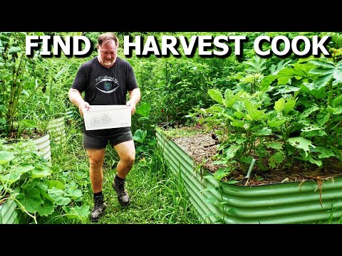 What Can I FIND to EAT in Our OVERGROWN Vegetable Garden?