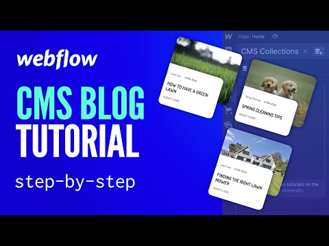 Building a Webflow CMS Blog | Step-By-Step