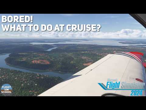 What To Do At Cruise in MSFS2020 & MSFS2024