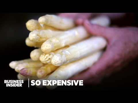 So Expensive Food Season 3 Marathon | So Expensive | Business Insider