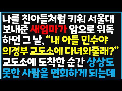 (신청사연) 나를 친아들처럼 키워 서울대 보내준 새엄마가 암으로 위독하던 그 날, 교도소에 다녀오라고 하는데 역대급 대반전이  [사이다사연][감동사연][라디오 드라마][오디오북]