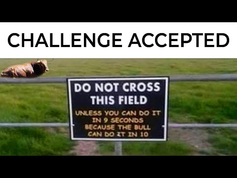 Signs That Are Very Funny