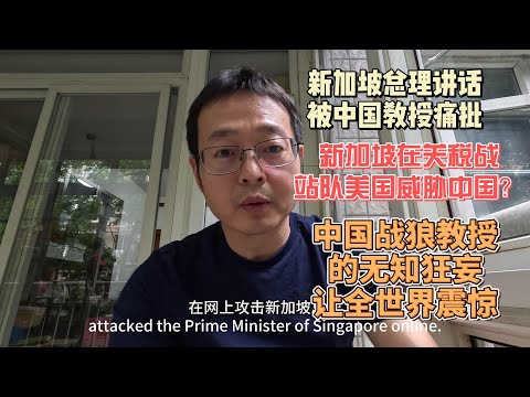新加坡总理讲话被中国教授痛批|新加坡在关税战站队美国威胁中国？|中国战狼教授的无知狂妄让全世界震惊