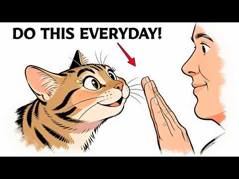 Do These 7 Things Daily And Your Cat'll Know You LOVE Them