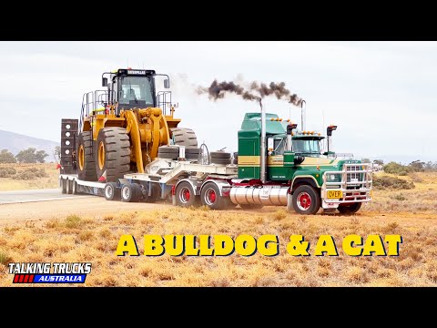 Talking Trucks Australia Episode 1: A Bulldog & a Cat