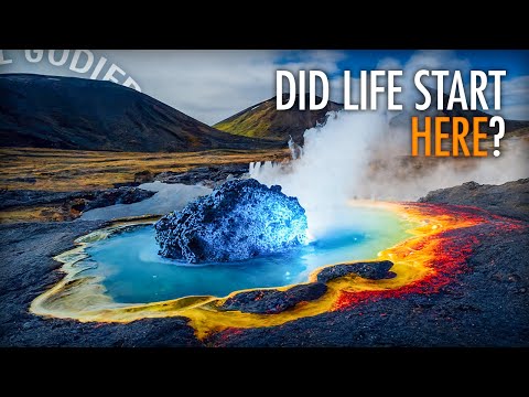 Is This How Life Started? The Water Paradox with Dr. David Deamer | John Michael Godier