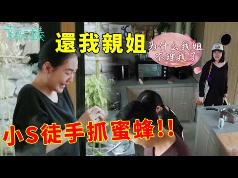 ❤️小S跟汪小菲爭寵不停，膽子太大徒手抓蜜蜂，結果被盯嚇壞眾人 | 幸福三重奏第一季【大S 汪小菲】