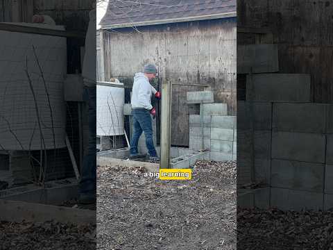 Homesteading is Humbling 🙏