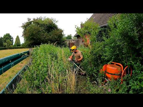 The Owner Did NOT BELIEVE that this Overgrown Yard Could be Brought BACK TO LIFE