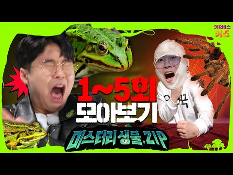 개구리 지옥에 빠진 꾹티비ㅣ거미와 함께 할로윈 파티ㅣ등화채집ㅣ미스터리생물집 1~5회 모아보기ㅣ꾹tvㅣKBS 방송