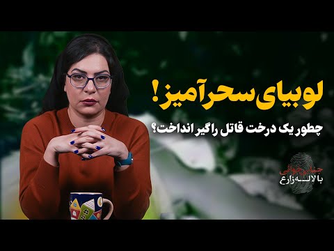لوبیای سحرآمیز | چطور یک درخت قاتل را گیر انداخت؟