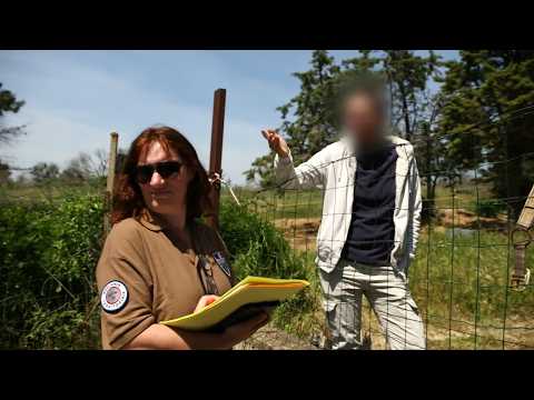 Bord de mer : quand le rêve tourne au cauchemar