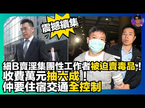 【震撼續集】細B賣淫集團性工作者被迫賣毒品｜收費萬元抽六成｜仲要住宿交通全控制｜娛樂爆爆爆