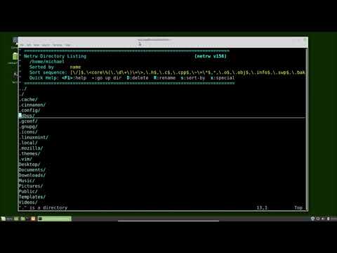 Vim (31) netrw pt1 - Intro to netrw