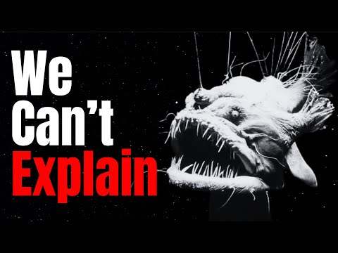 The Deeper You Go, The Creepier Sea Creatures Get