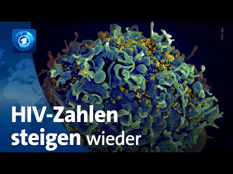 HIV: 1,5 Millionen Neuinfektionen