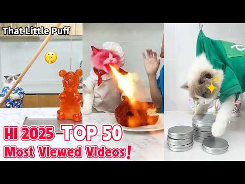 Top 50 Most Viewed Videos in H1 2025🎉| That Little Puff
