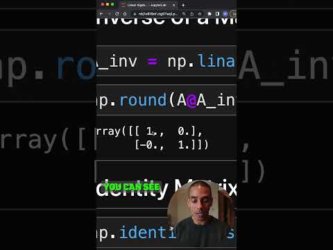 NumPy makes Linear Algebra for ML wayyyy easier!