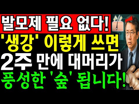 생강으로 탈모와 두피 가려움 치료! 70세라도 2주 만에 머리카락이 다시 자란다. 의사들이 부모에게만 알려준 20살 젊어지는 비밀 | 시니어 피부관리 | 노후지혜 | 오디오북