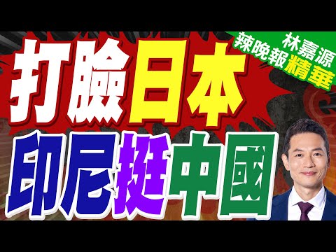 印尼不再慣著日本! 撕碎高市早苗偽裝 | 打臉日本 印尼挺中國 | 蔡正元.栗正傑.謝寒冰深度剖析?【林嘉源辣晚報】精華版@中天新聞CtiNews