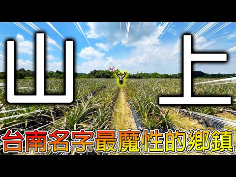 【冷門地區一日遊】根本不在山上的山上!曾經是台南市區水源的命脈之一!還有全台僅一間超特別的樹靈廟宇!!【冠哥】