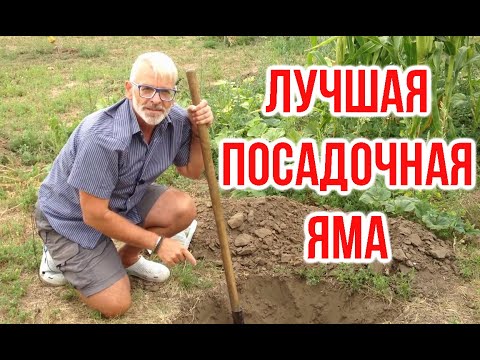 Best landing pit / Igor Bilevich