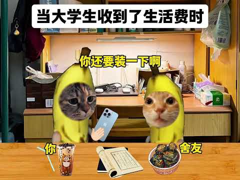 当大学生收到了生活费时 #猫meme #猫meme小剧场 #meme #哈基me #搞笑