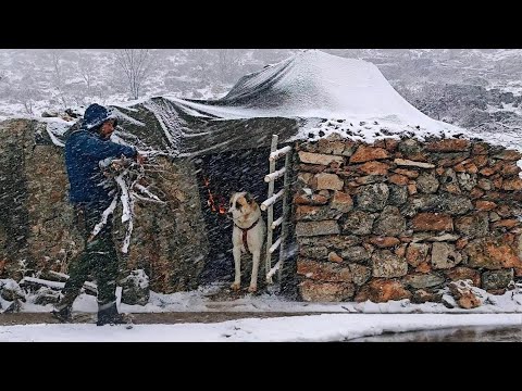 狂！王德發狗寶挑戰極寒荒野，一口氣蓋三座石縫庇護所，太神了！ #荒野 #建造 #露营 #户外 #求生