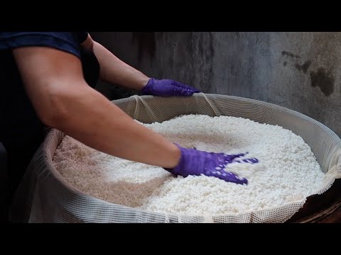 Rice Pudding with Dried Longan Making / 古早味嘉義桂圓米糕製作 - Taiwanese Food, 台灣美食