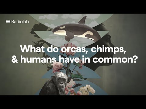 The Menopause Mystery | Radiolab Podcast