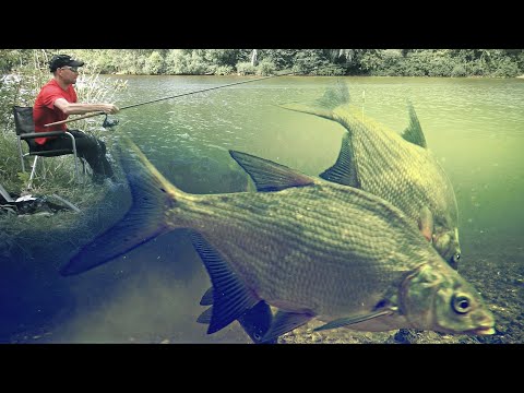 ПОДВОДНЫЙ ФИДЕР Рыбалка на ЛЕЩА!!!