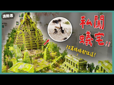 蟻窩有紫禁城還有金字塔！當螞蟻有垃圾跟屍體怎麼辦？直接自己生出回收場！| 蝌蚪老師與三桃 ft. @Empireofants