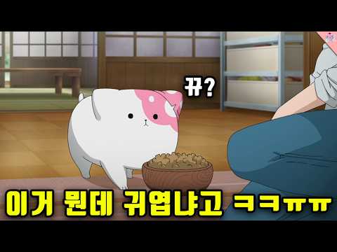 이거 보고 안 귀여우면 영상 삭제 하겠습니다. (레전드 힐링 애니 ㅠㅠ)