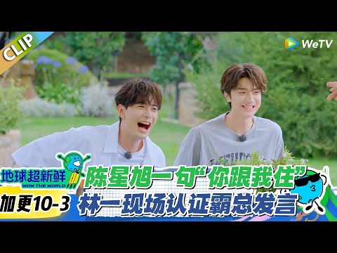 【地球超新鲜】加更10-3：陈星旭一句“你跟我住”，林一现场认证霸总发言!#地球超新鲜 #孙红雷 #李乃文 #陈赫 #刘宇宁 #龚俊 #陈星旭 #王玉雯