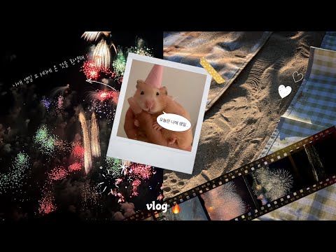 [만학도 간호학과 Vlog 7] 생일 and 부산 소풍 🥳 바다·불꽃축제·상큼함 다 챙김! 🎇