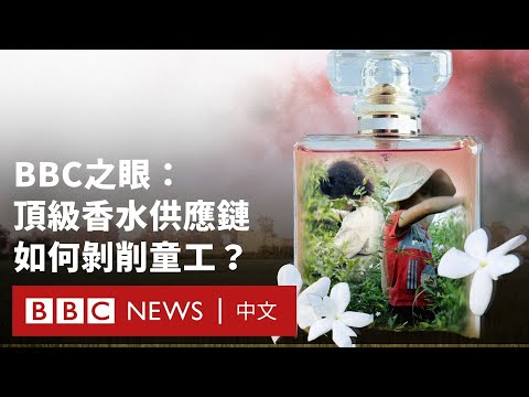 BBC調查：國際香水品牌的供應鏈如何剝削童工？－ BBC News 中文