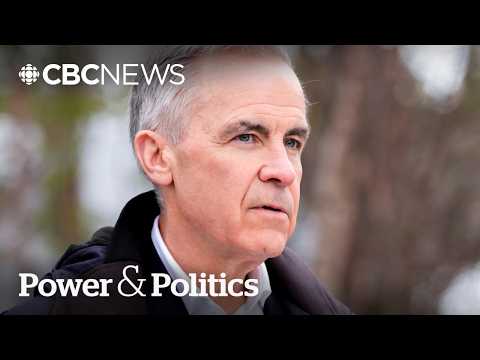Carney far ahead in polls 1 year after becoming PM: pollsters weigh in | Power & Politics