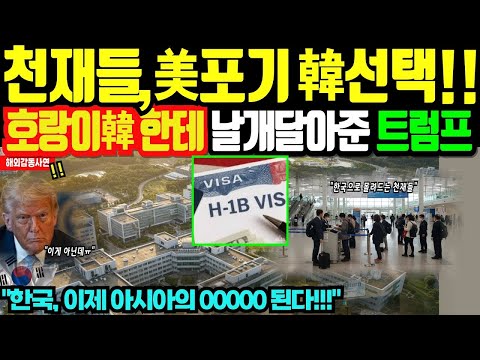 美비자폭탄에 韓인재 대이동 시작 | 트럼프 H-1B 인상, 한국 기회될까 | 실리콘밸리 한국인들이 귀국하는 이유 | 트럼프 비자 대폭탄!실리콘밸리 대탈출한국으로 몰려온다