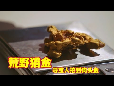 荒野猎金_三支寻宝队在澳大利亚荒野挖金子他们能大赚一笔并完成赛季目标吗？