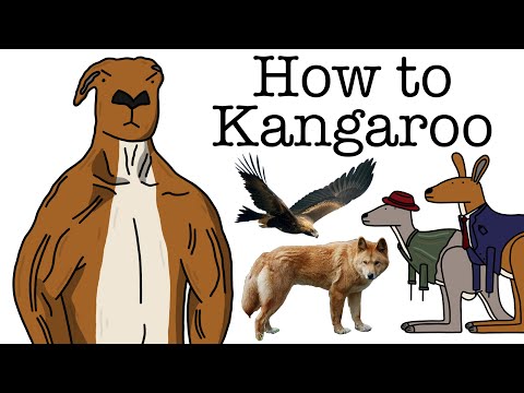 Your Life as a Kangaroo