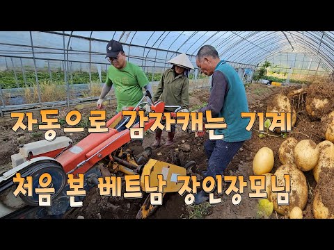 감자캐는 기계 처음 본 베트남 장인장모님