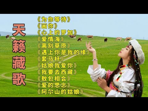 次仁央宗为你等待画你心上的罗加套马杆姑娘我爱你