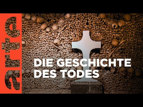 Das Uhrwerk des Lebens | Doku HD Reupload | ARTE