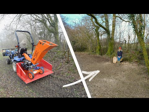 Our First Attempt At Clearing Brush On Our 10 Acre Smallholding