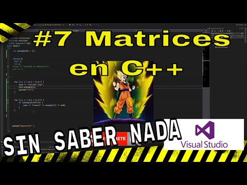 ¿Domina las matrices en C++?