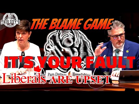 Liberals and NDP playing the blame game