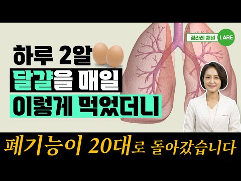 지렛대 원리! 달걀을 매일 이렇게 먹으면 폐기능에 항암 효과까지!  [정라레]
